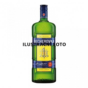 BECHEROVKA 38% 0,7l (hola lahev)